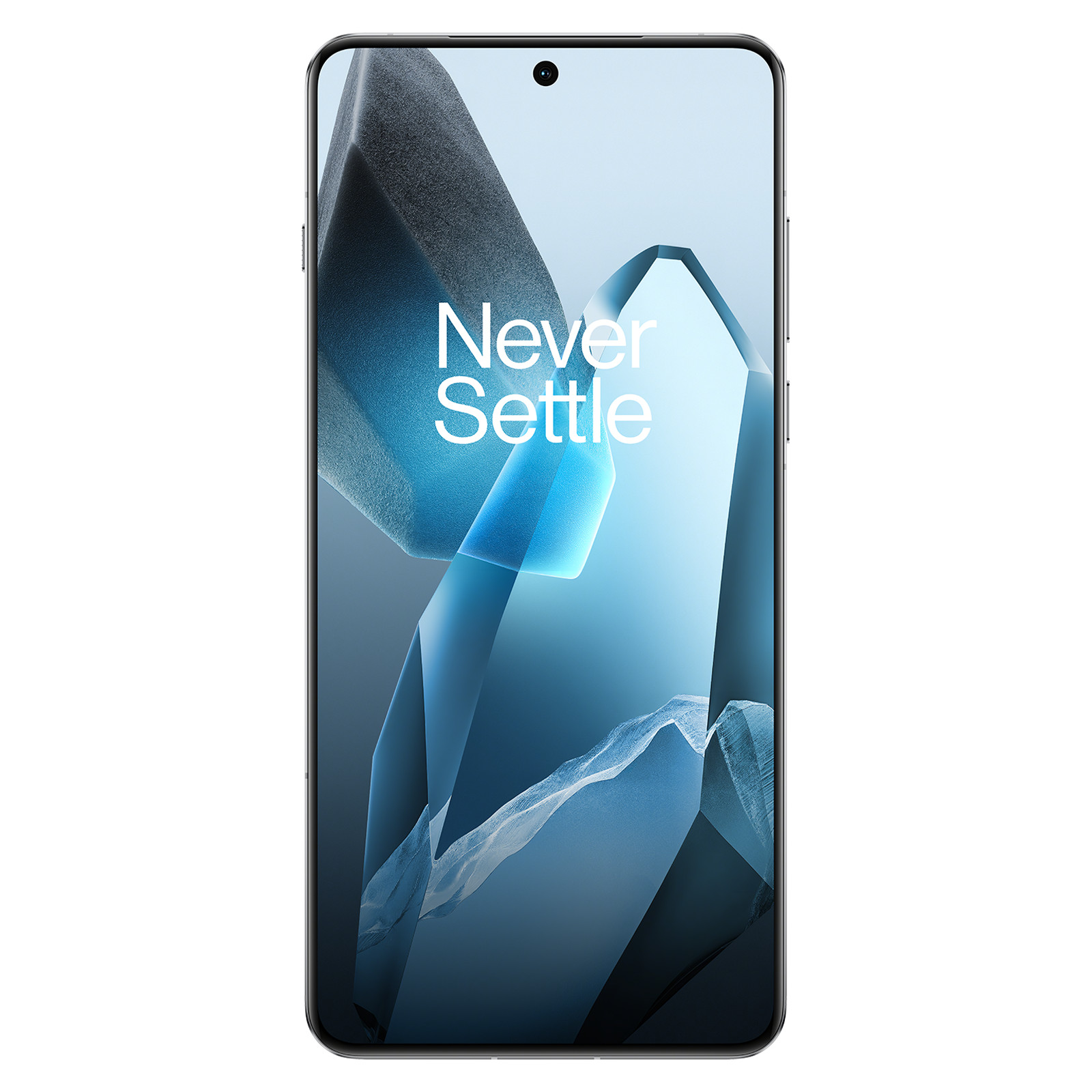 OnePlus 13